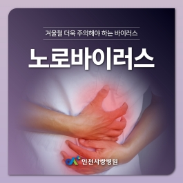 구토, 설사, 복통, 몸살 등의 증상이 나타날 수 있는 겨울 질환 노로바이러스