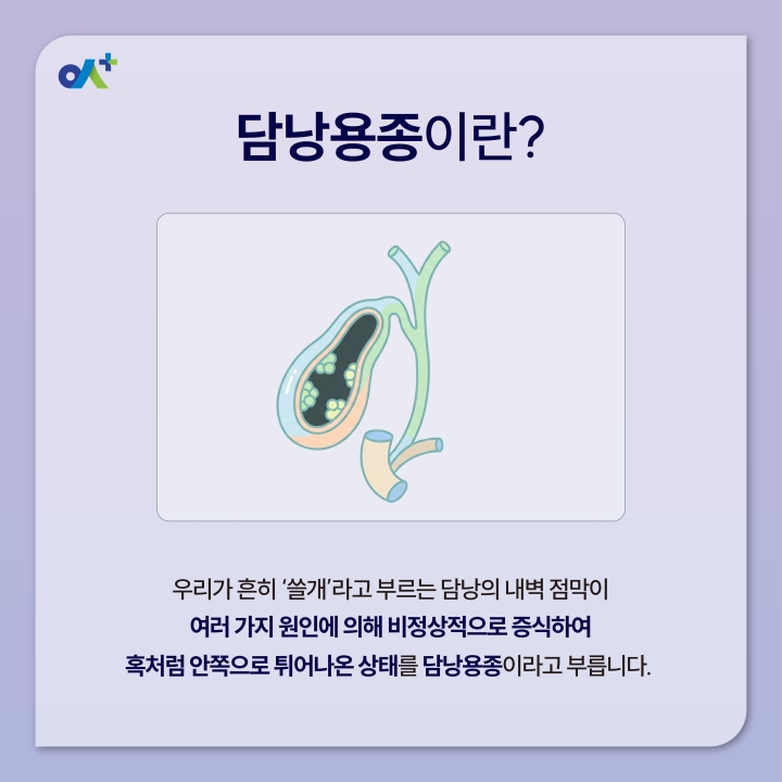 %EB%B3%B8%EB%AC%B8KakaoTalk_20260903_091951042_01.jpg